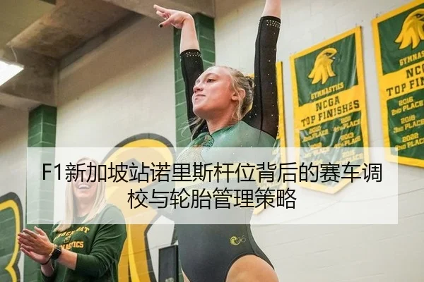 F1新加坡站诺里斯杆位背后的赛车调校与轮胎管理策略