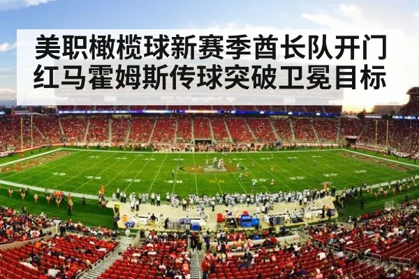 NFL football stadium crowd